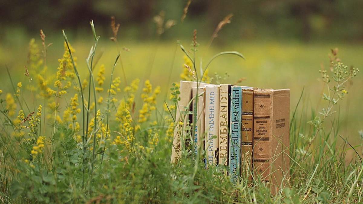 Подборка летних книг Подборка летних книг