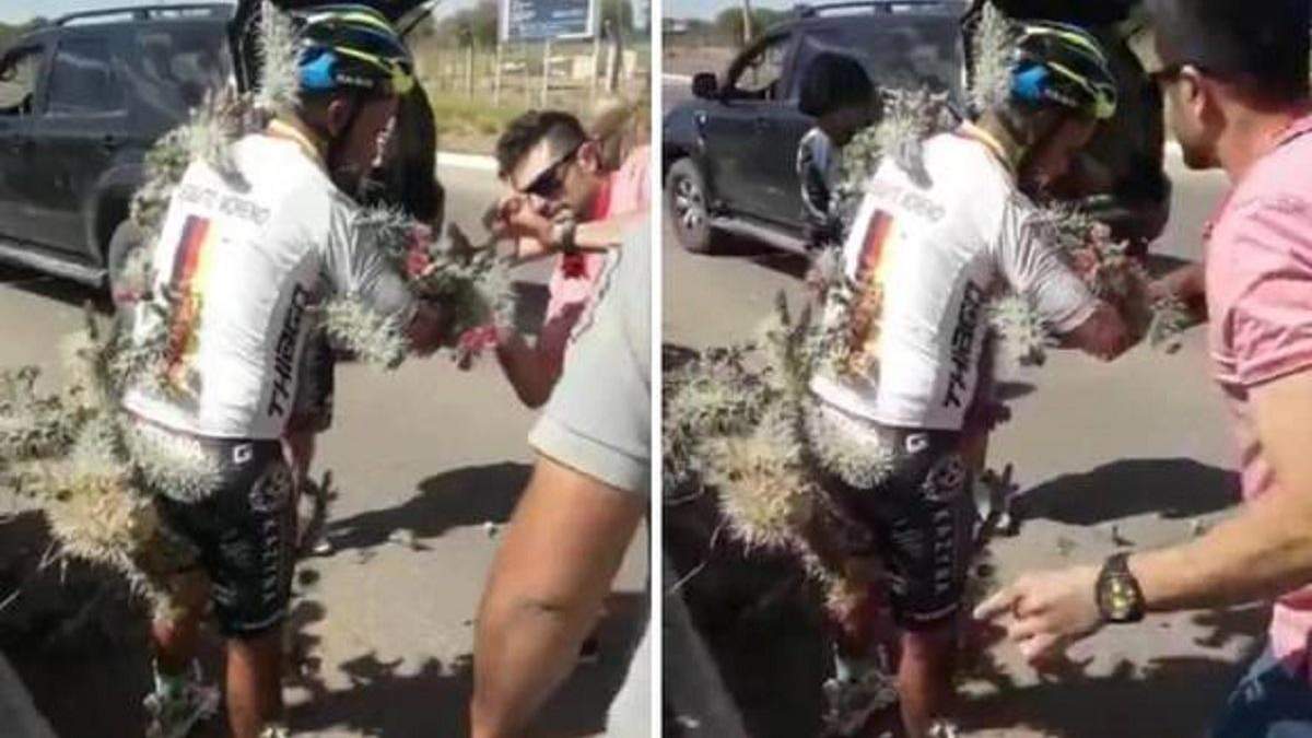 Велосипедист влетів в колючий кущ кактуса в Буенос-Айресі Велосипедист влетів в колючий кущ кактуса в Буенос-Айресі