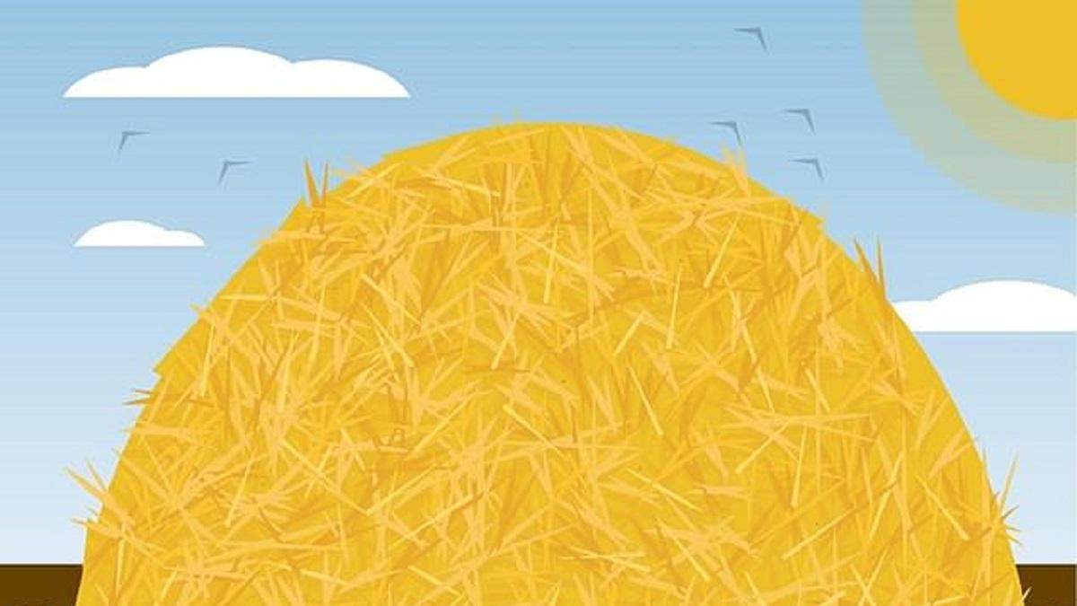 Искать иголку в стоге сена – новая головоломка Искать иголку в стоге сена – новая головоломка