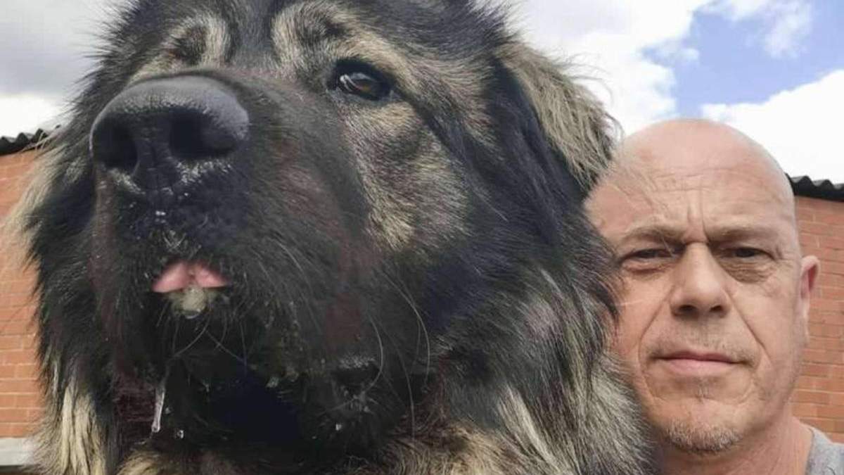 Найджел Карви и его любимец Марли Найджел Карви и его любимец Марли
