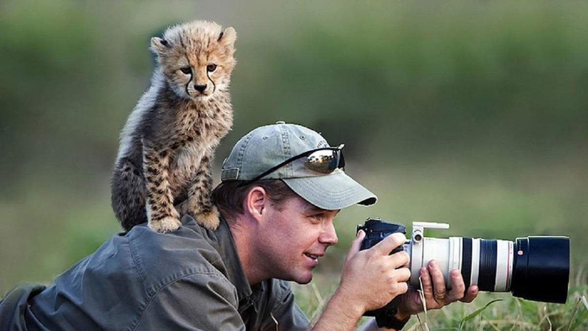 Дикие звери мешают фотографам Дикие звери мешают фотографам