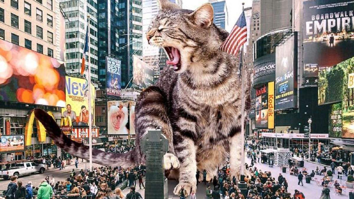 Сюрреалистические котики на коллажах американского художника Сюрреалистические котики на коллажах американского художника