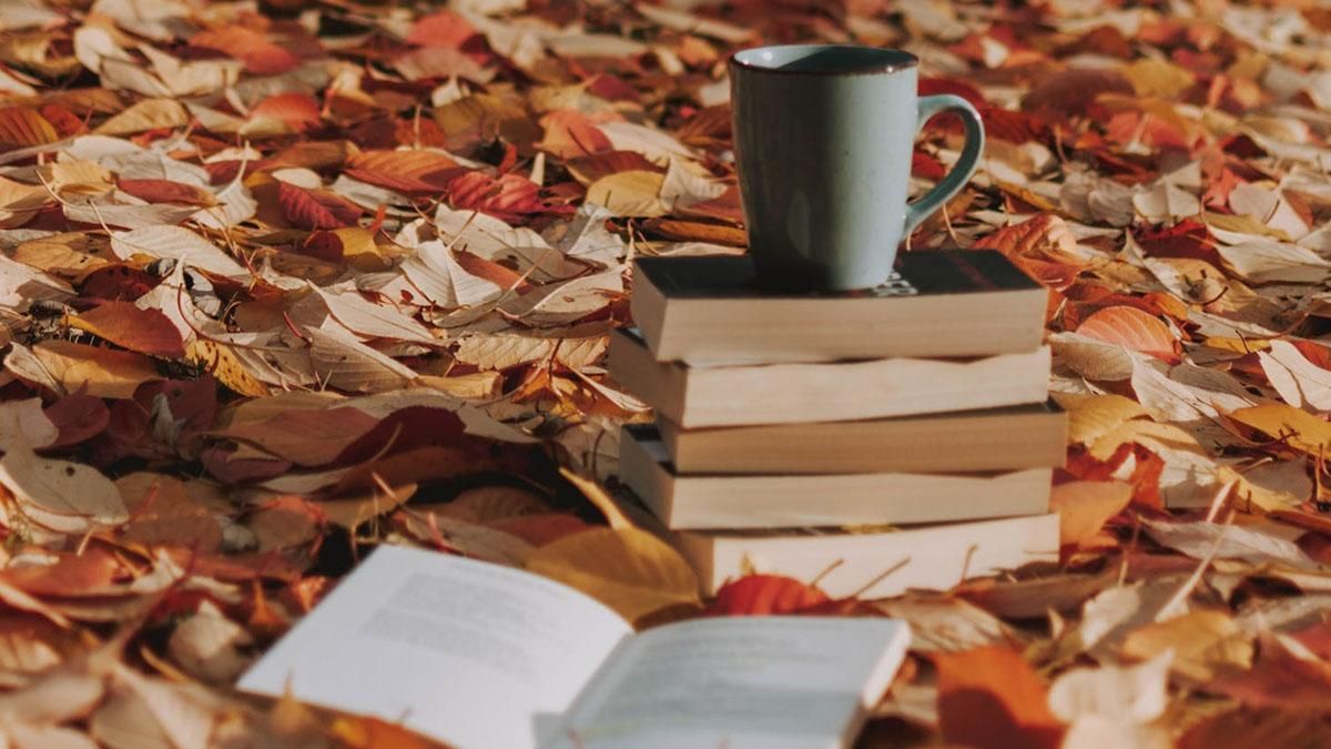 Книжные новинки Книжные новинки