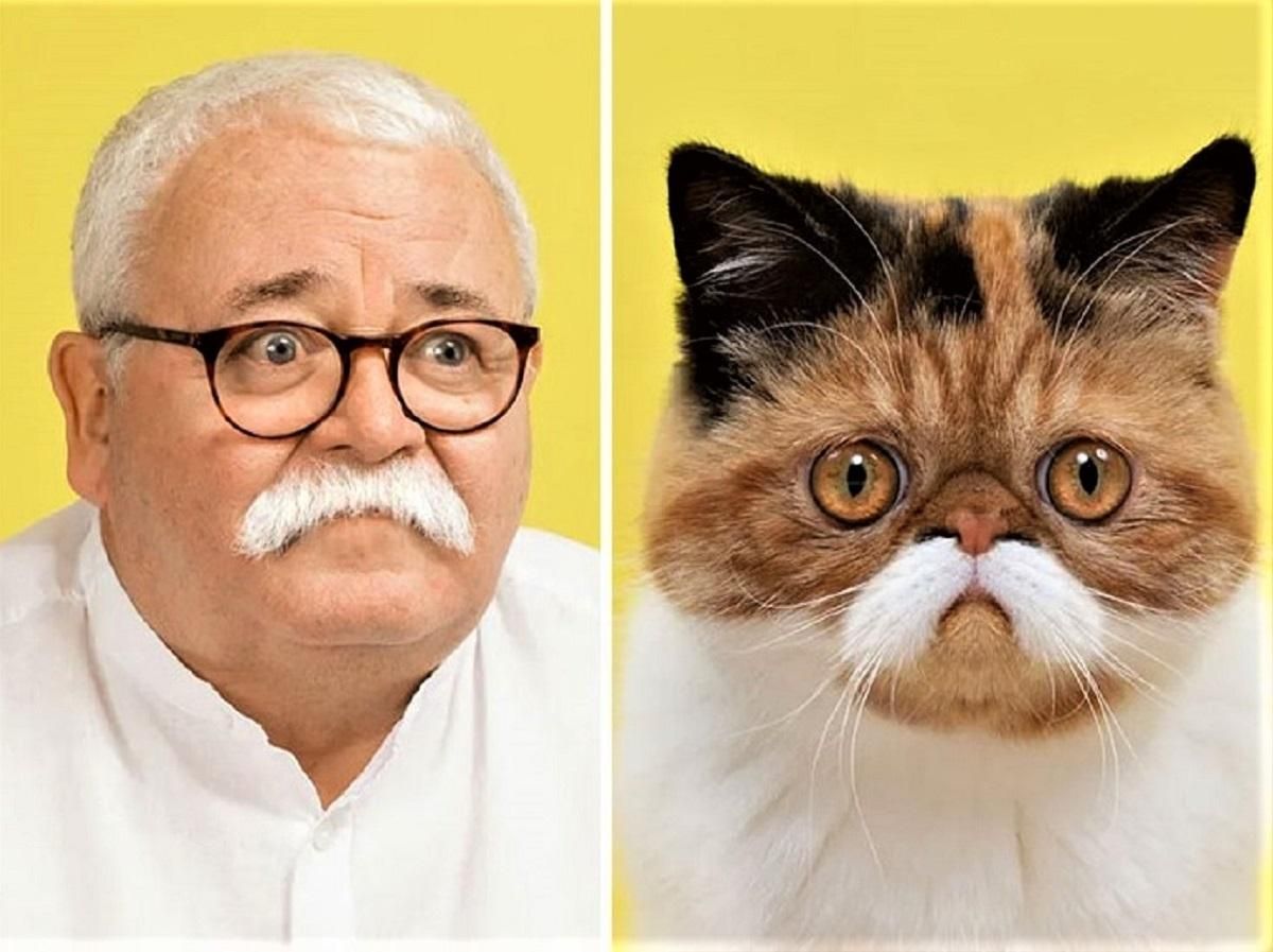 Удивительное сходство кота и человека Удивительное сходство кота и человека