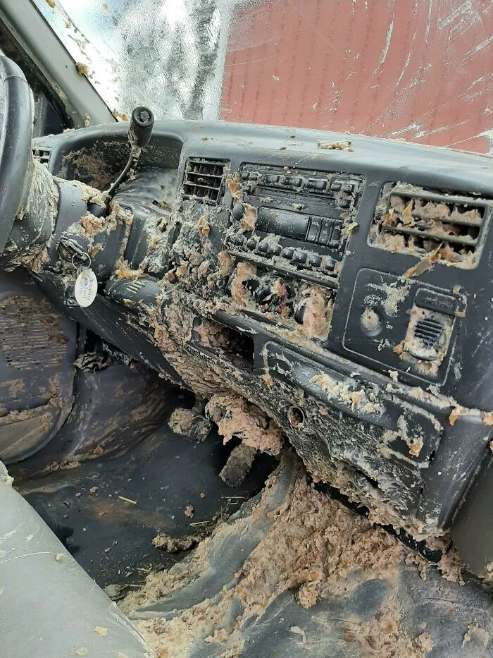 Автовласники, у яких день набагато гірше, ніж вам може здатися Автовласники, у яких день набагато гірше, ніж вам може здатися