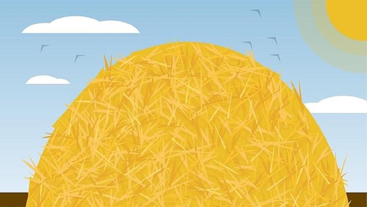 Искать иголку в стоге сена – новая головоломка: сможете ли вы побить рекорд 30 секунд