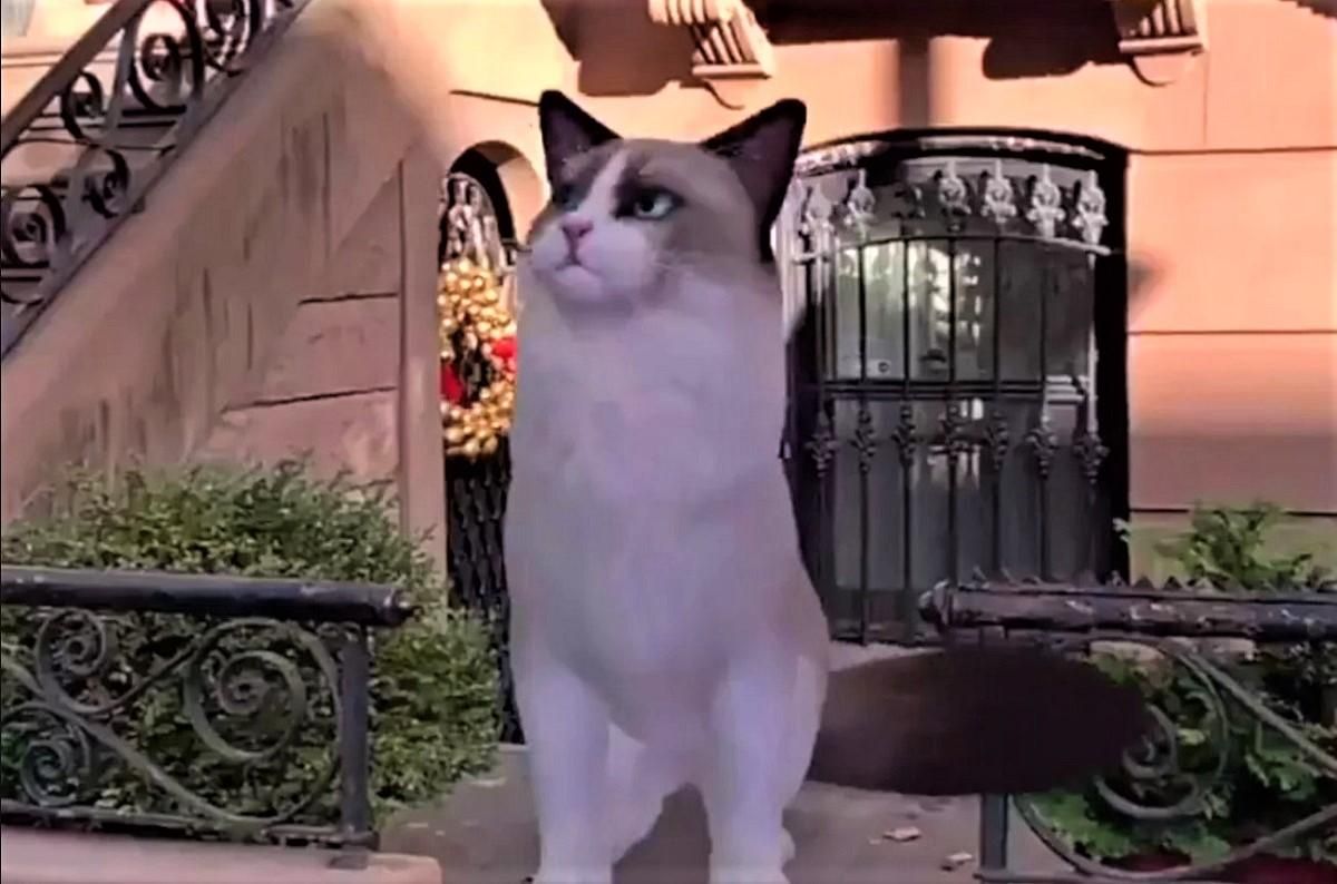 Гигантские животные у вас дома: вышло обновление мобильного приложения Google Гигантские животные у вас дома: вышло обновление мобильного приложения Google