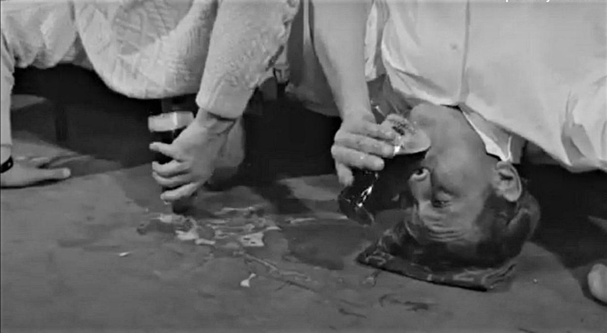Розвага для завсідників пабів: як випити пива догори ногами – відео 