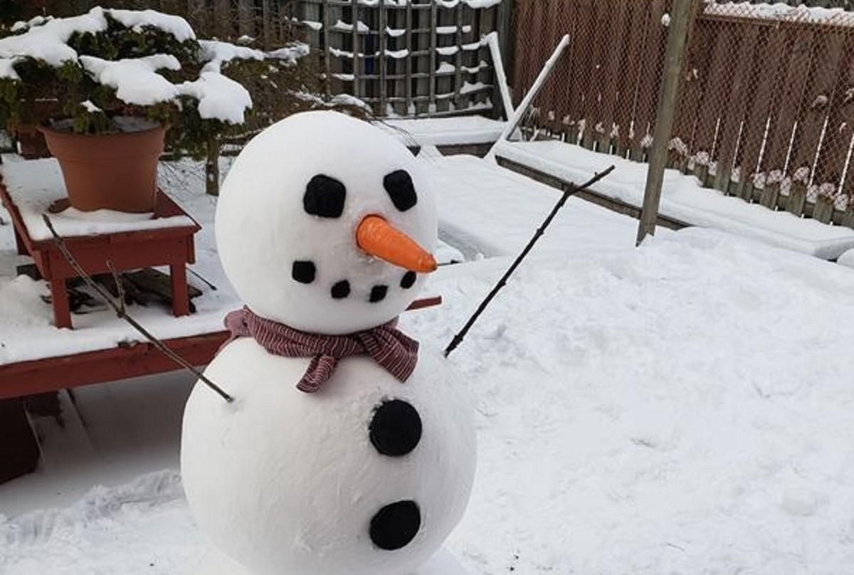 Зимові розваги перфекціоністів: дівчина зліпила ідеального сніговика і підкорила мережу