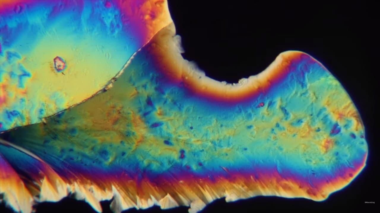 Макрофотография нового уровня: удивительные видео Макрофотография нового уровня: удивительные видео