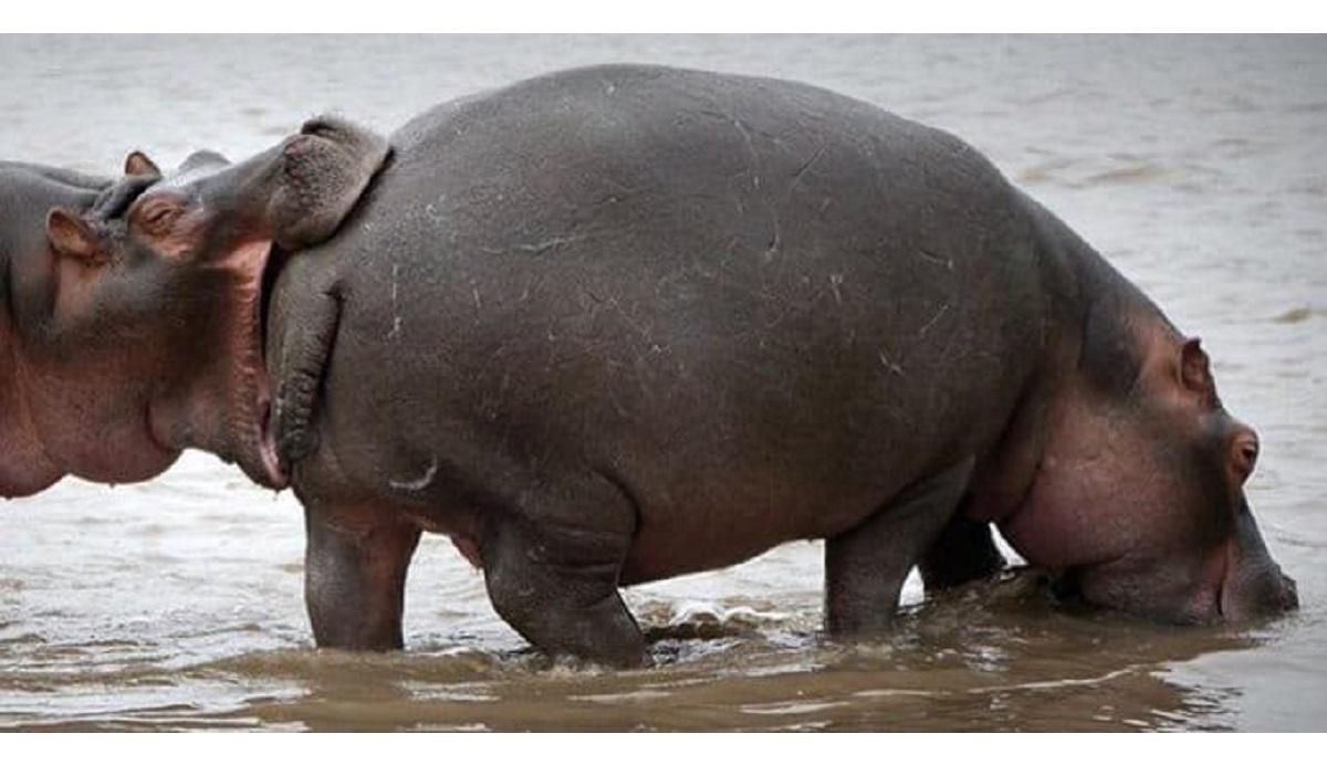 Это могли быть мы с тобой: забавный Twitter-аккаунт, иллюстрирующий отношения Это могли быть мы с тобой: забавный Twitter-аккаунт, иллюстрирующий отношения