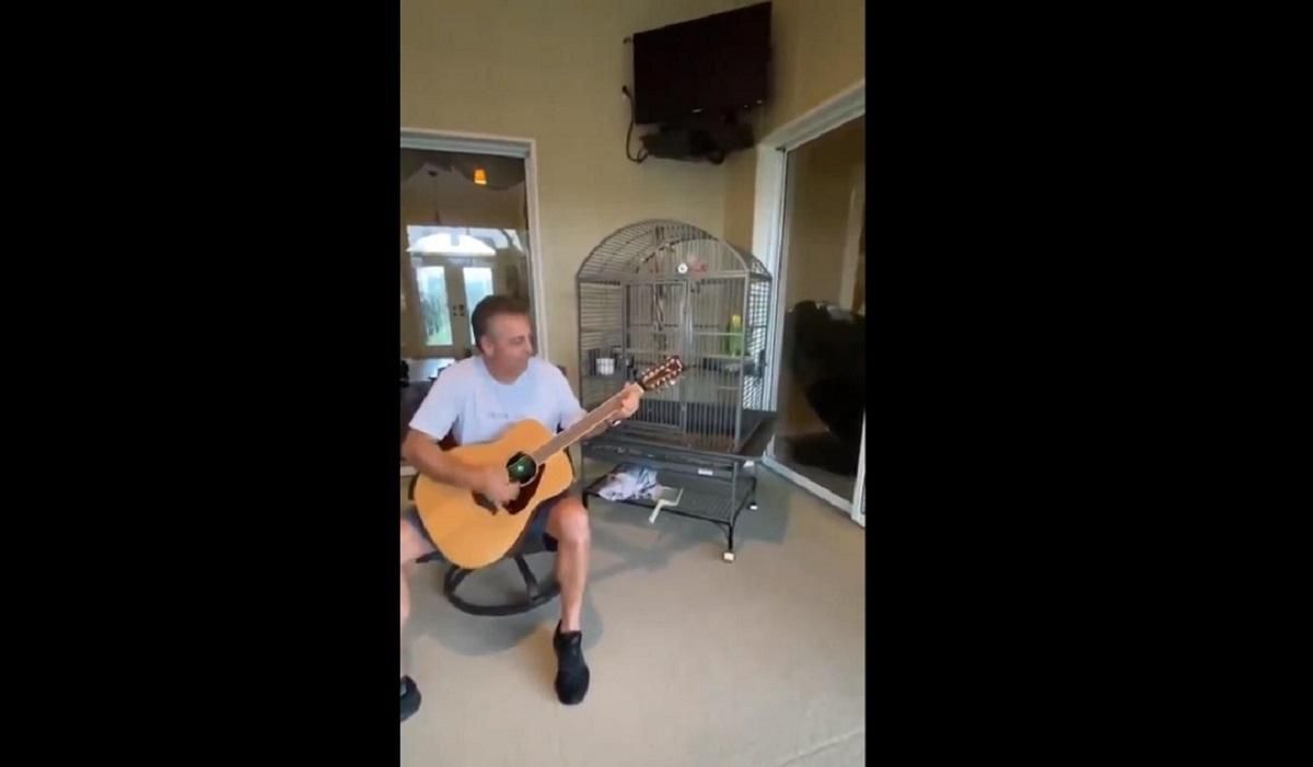 Контент, який нам потрібен прямо зараз: папуга, що співає Led Zeppelin – вірусне відео Контент, який нам потрібен прямо зараз: папуга, що співає Led Zeppelin – вірусне відео