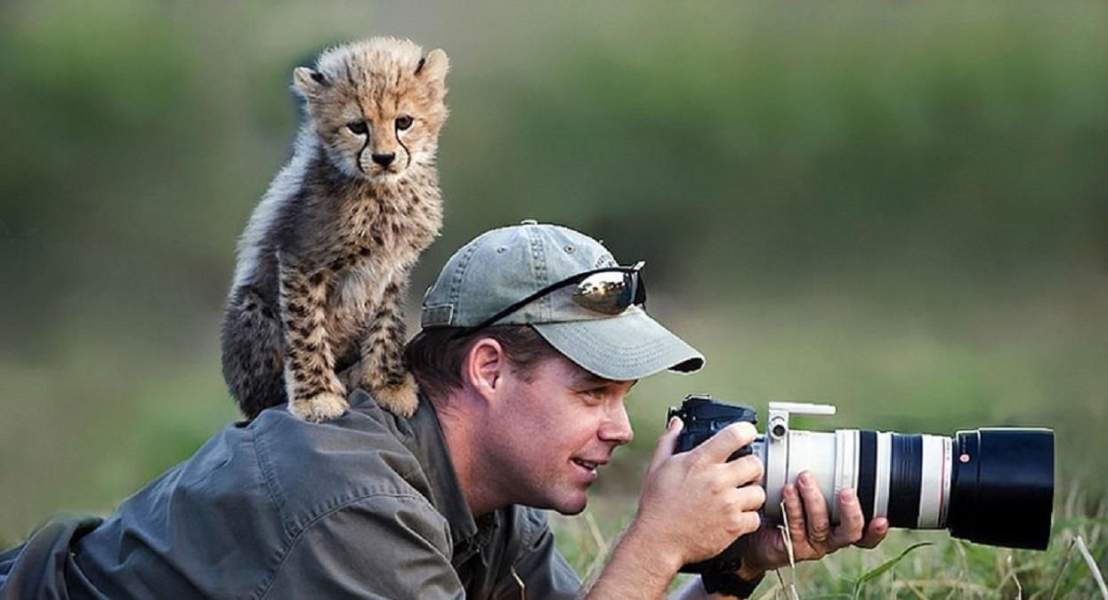 Новый тред в Twitter: фотографии беспардонных диких животных, которые мешают фотографам работать