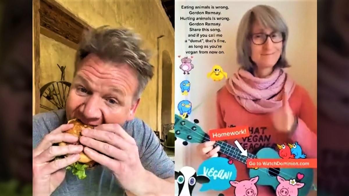 Гордон Рамзи ответил веганке в тиктоке Гордон Рамзи ответил веганке в тиктоке