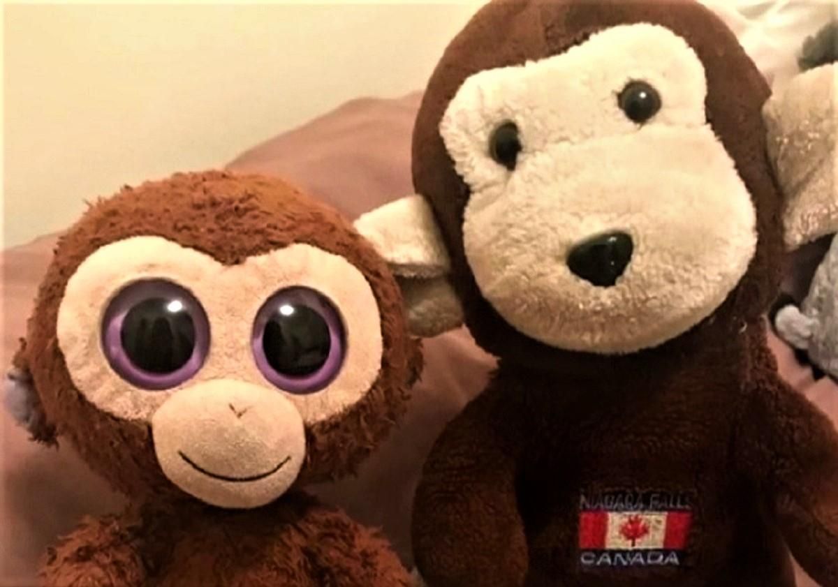 5 тисяч доларів за мавпочок: американець заплатить винагороду за повернення вкрадених іграшок