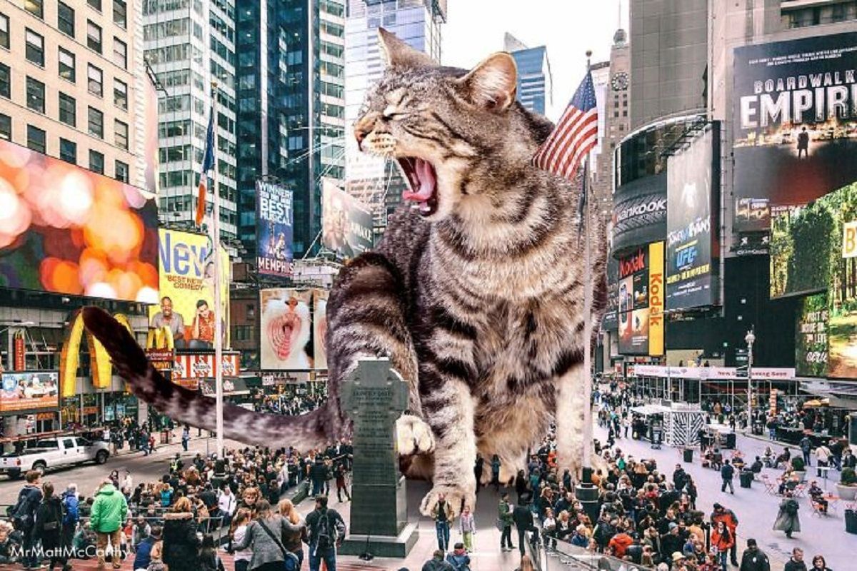 Американский художник создает сюрреалистические коллажи с котиками: галлюциногенные иллюстрации