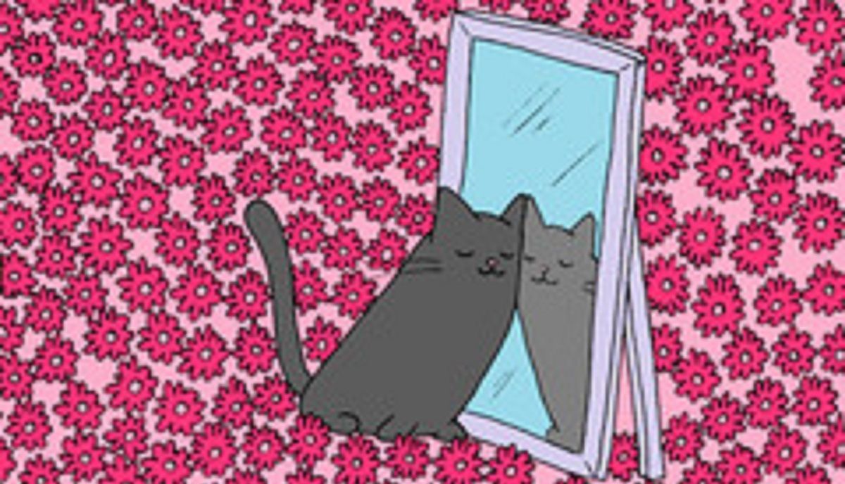 Головоломка ко дню влюбленных: найдете ли вы скрытое сердце между парами животных Головоломка ко дню влюбленных: найдете ли вы скрытое сердце между парами животных