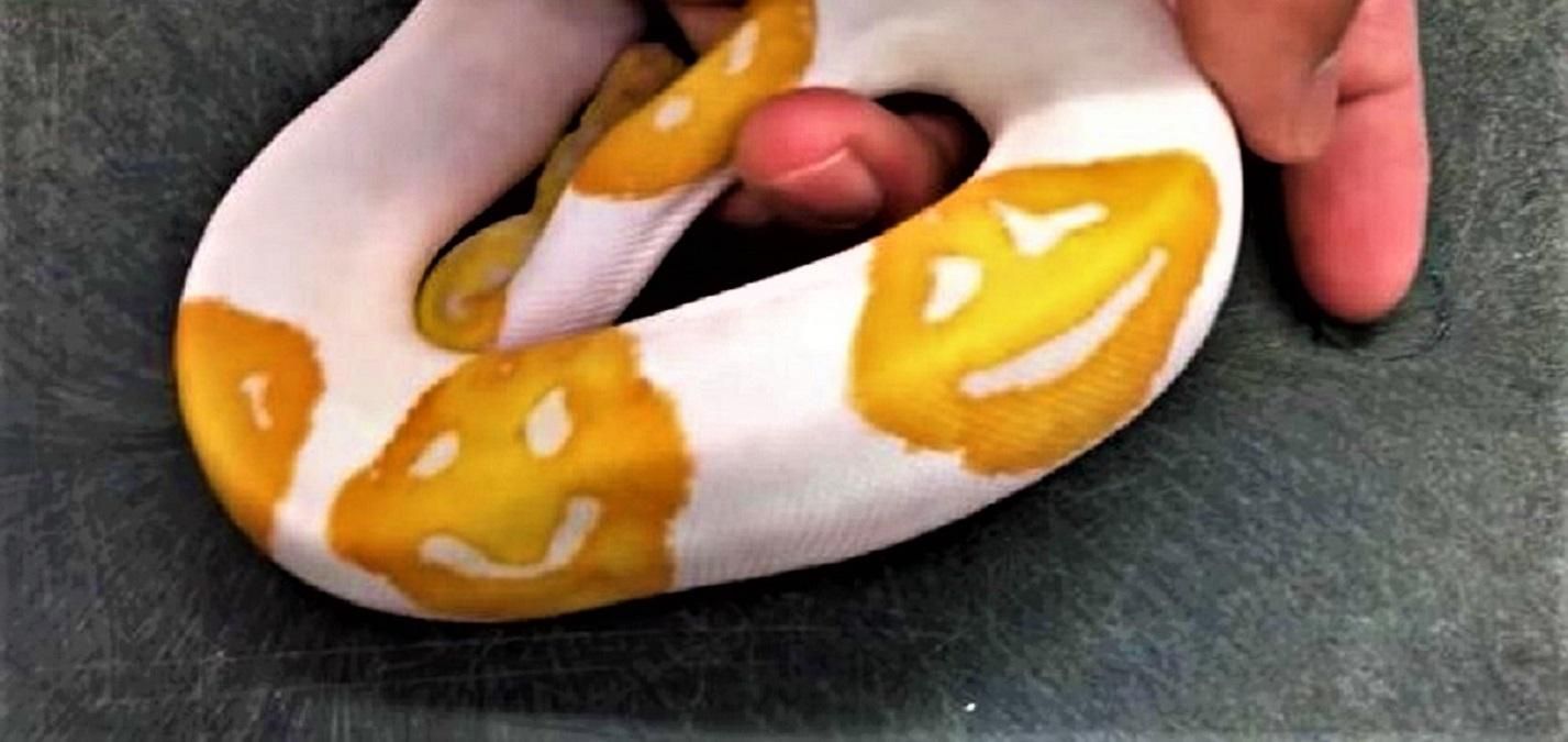 Питон со смайликами Питон со смайликами