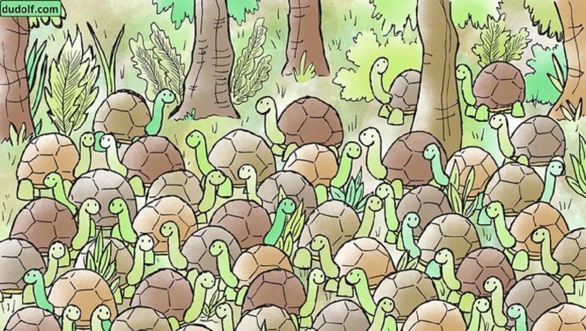 Головоломка тижня: черговий тест на пильність – знайди змію серед черепах Головоломка тижня: черговий тест на пильність – знайди змію серед черепах