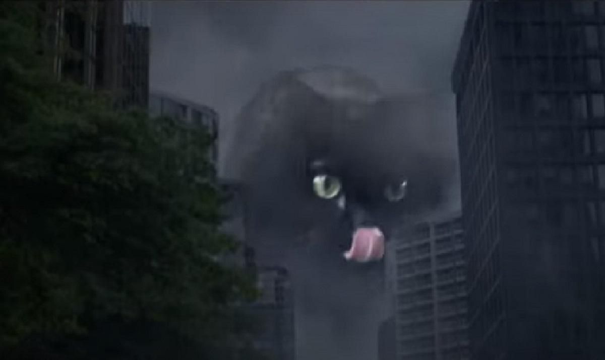 Годзилла против Котика: в трейлере нового фильма Конга заменили на известную кошку