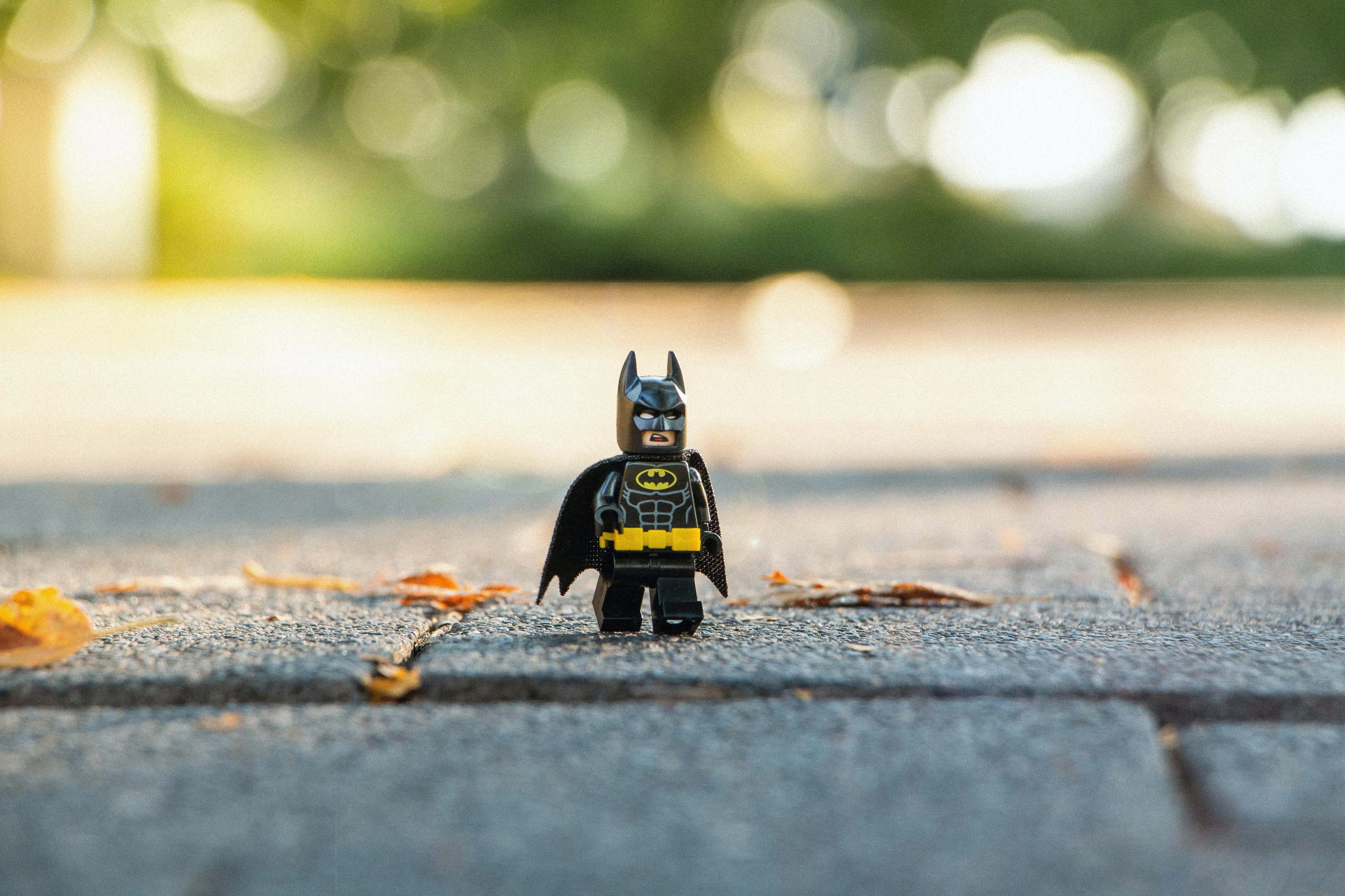 Французька поліція вийшла на слід міжнародної банди викрадачів Lego