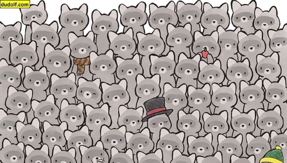 Головоломка тижня: справа про зниклого кота Головоломка тижня: справа про зниклого кота