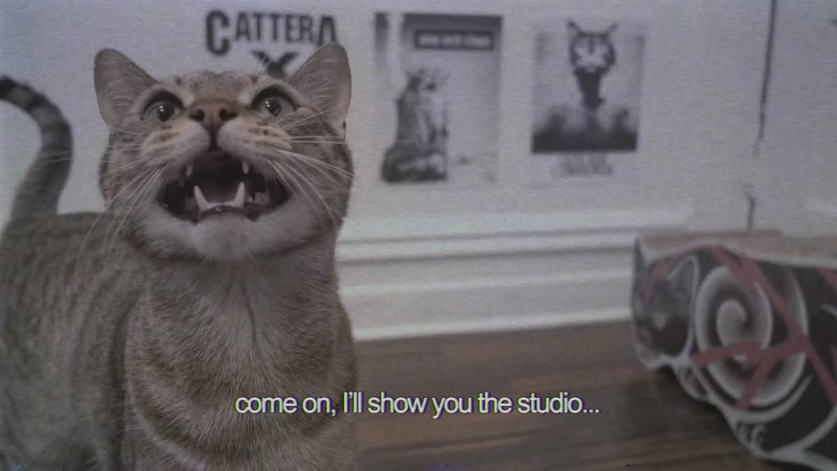 Музичний котячий гурт записав свій дебютний сингл: кошти від продажу підуть на благодійність Музичний котячий гурт записав свій дебютний сингл: кошти від продажу підуть на благодійність