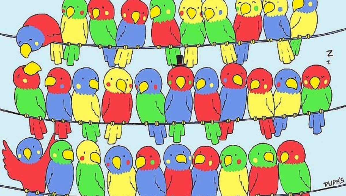 Головоломка тижня: знайдіть самотню пташку Головоломка тижня: знайдіть самотню пташку