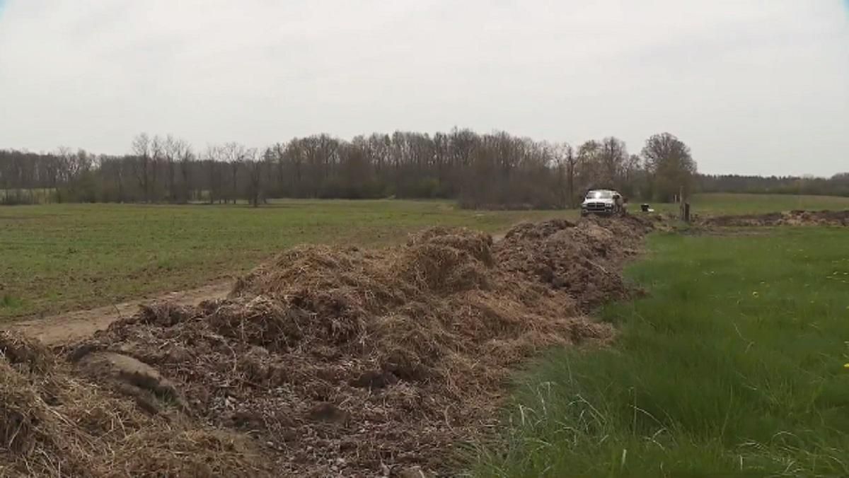 Два фермера не смогли поделить участки: один из них после ссоры соорудил стену из навоза Два фермера не смогли поделить участки: один из них после ссоры соорудил стену из навоза