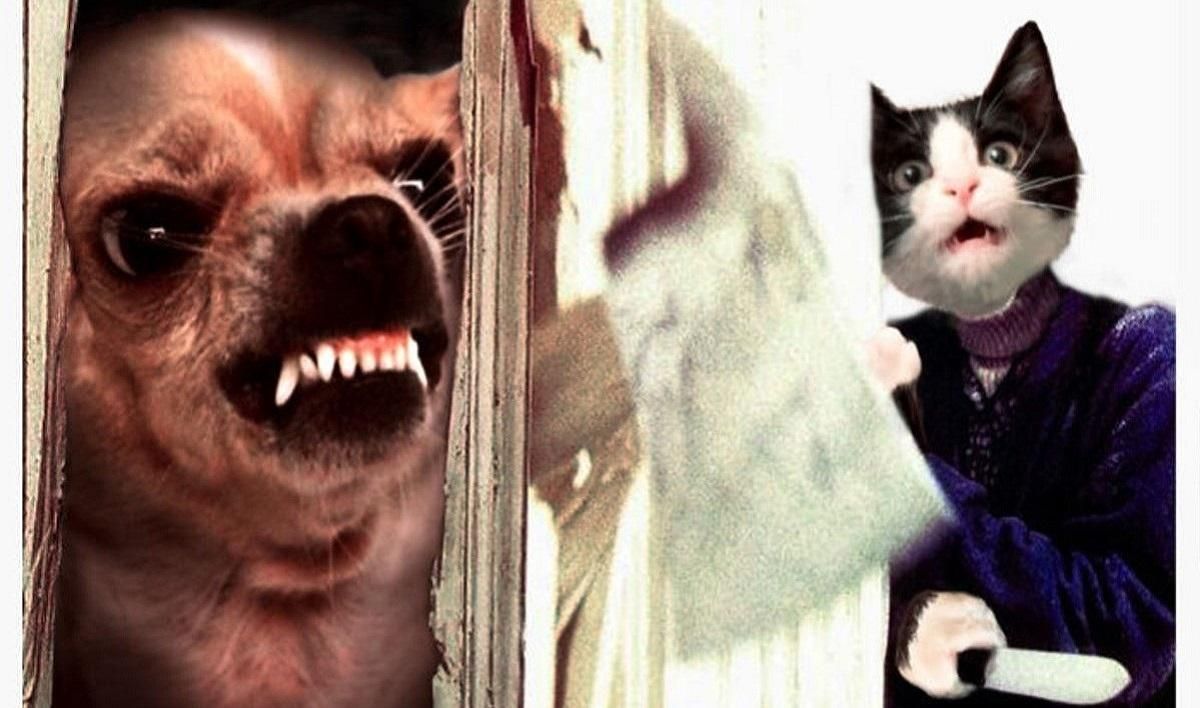 Киноафиши с котами и собаками Киноафиши с котами и собаками