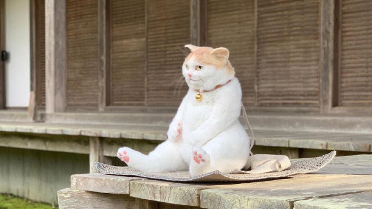 У вигляді абсолютно натурального кота: в Японії створили незвичайний рюкзак У вигляді абсолютно натурального кота: в Японії створили незвичайний рюкзак