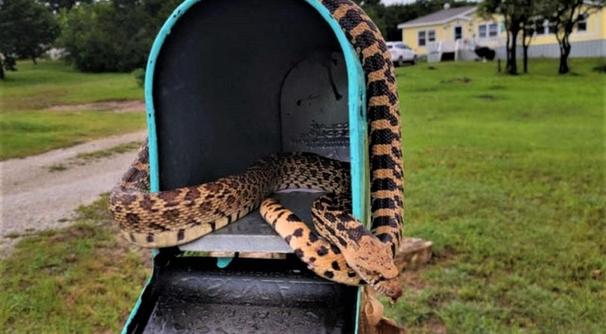 15 курьезных фейлов 15 курьезных фейлов