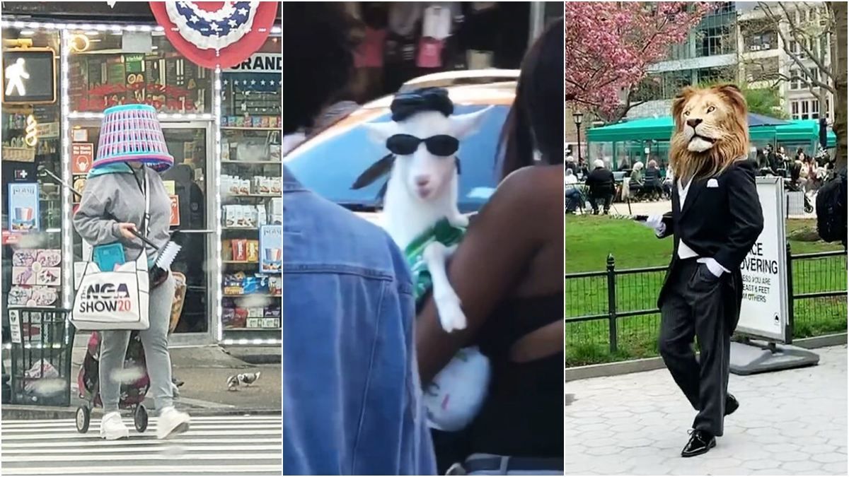 Курйози у Нью-Йорку Курйози у Нью-Йорку