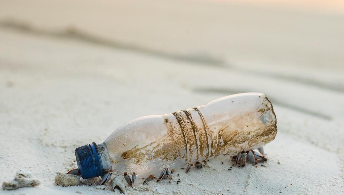 В Португалии нашли послание в бутылке В Португалии нашли послание в бутылке