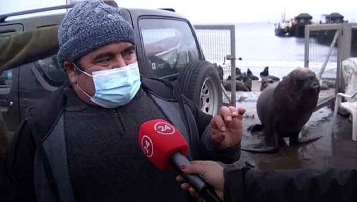 Морской лев грациозно ворвался в интервью рыбака о нашествии морских львов Морской лев грациозно ворвался в интервью рыбака о нашествии морских львов