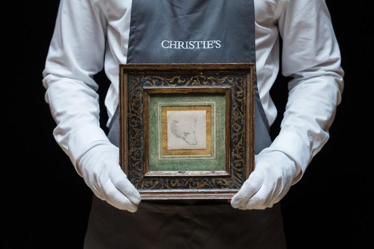 Голова медведя Леонардо да Винчи Голова медведя Леонардо да Винчи