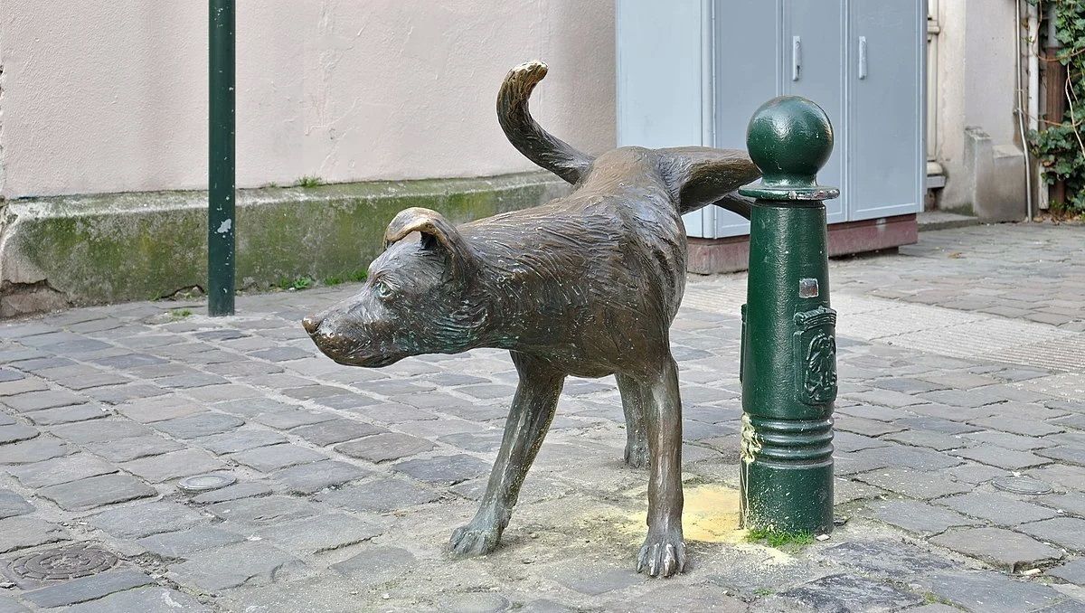 Собаки не знают хороших манер: в Японии в аварии светофора обвинили псов Собаки не знают хороших манер: в Японии в аварии светофора обвинили псов