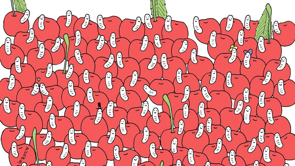 Головоломка тижня: чи знайдете ви вишню, до якої не дістався голодний черв'як Головоломка тижня: чи знайдете ви вишню, до якої не дістався голодний черв'як