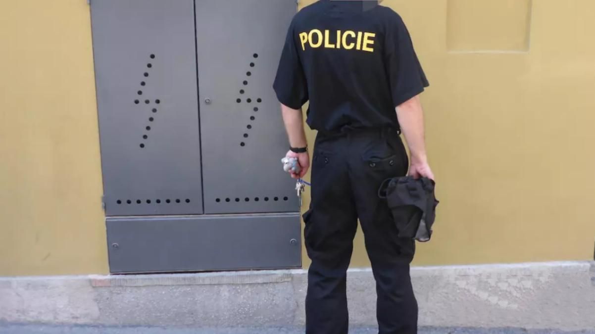 Чоловік прикидався поліцейським, щоб безкоштовно їздити у громадському транспорті Чоловік прикидався поліцейським, щоб безкоштовно їздити у громадському транспорті