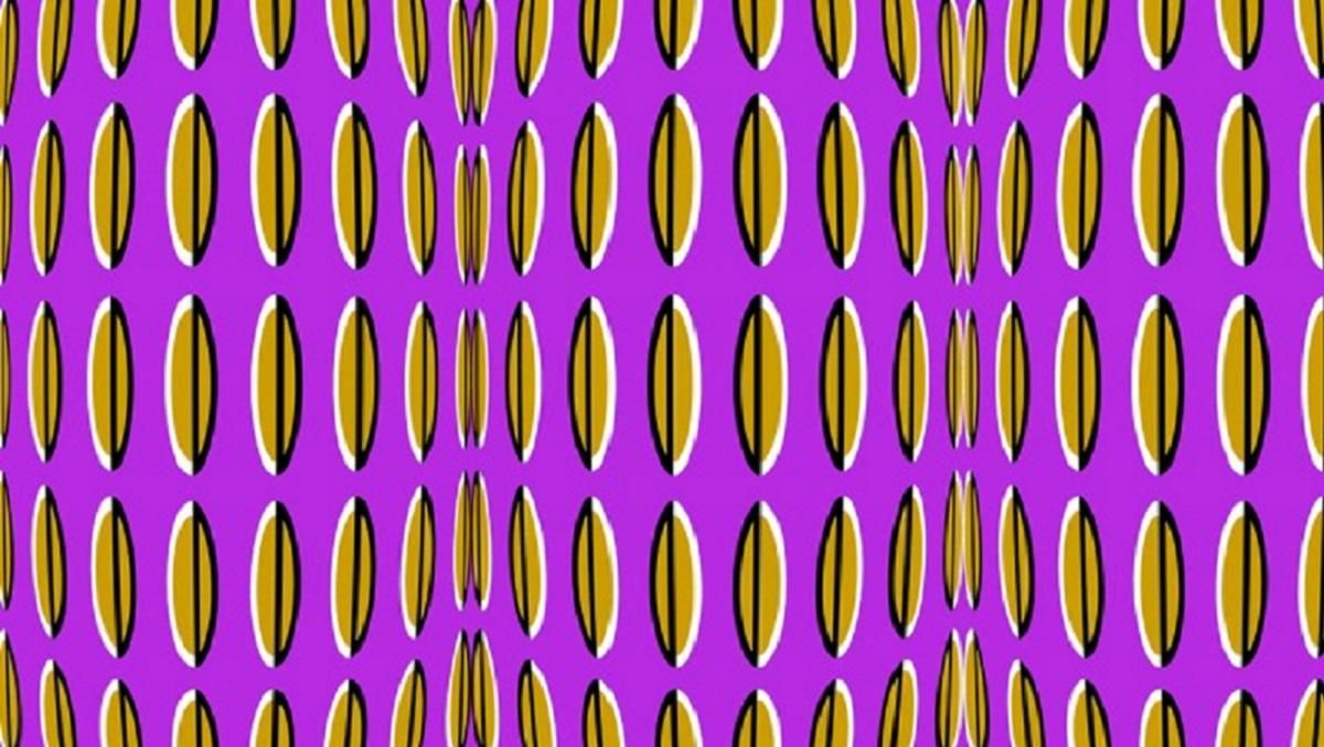 Головоломка тижня: нові хитрі оптичні ілюзії показують, як зображення можуть обдурити око Головоломка тижня: нові хитрі оптичні ілюзії показують, як зображення можуть обдурити око