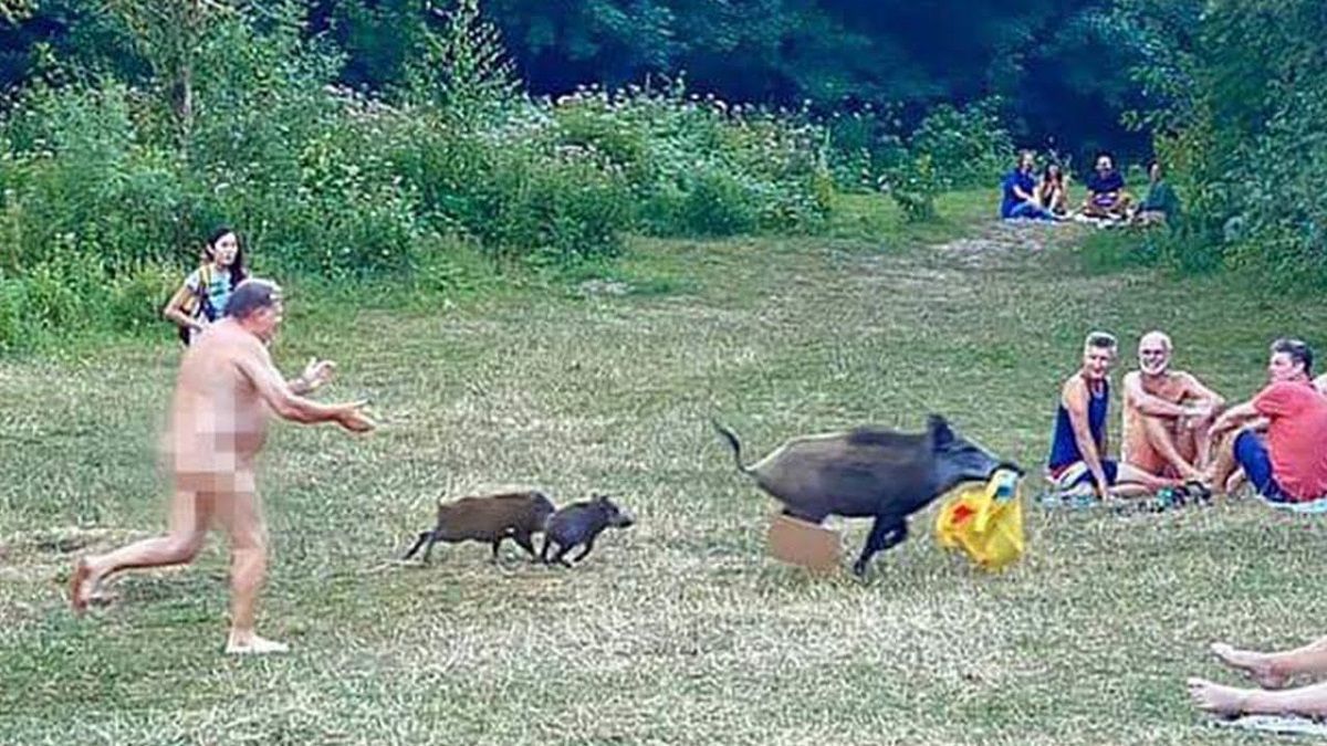 У Німеччині випустили фігурки голого чоловіка та кабана, який вкрав у нього ноутбук на пляжі У Німеччині випустили фігурки голого чоловіка та кабана, який вкрав у нього ноутбук на пляжі