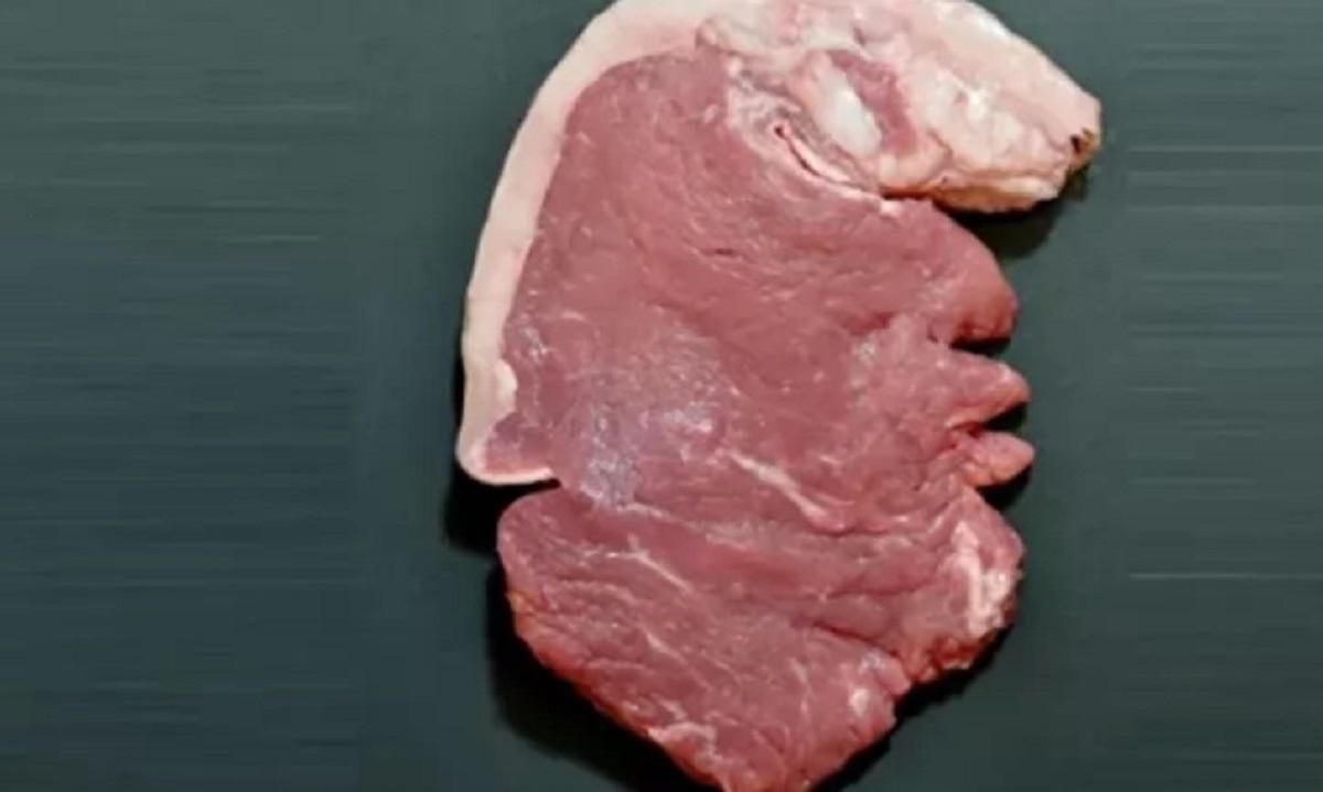 Художник отримав міжнародну нагороду за карикатурне зображення Трампа на відбивній: фото Художник отримав міжнародну нагороду за карикатурне зображення Трампа на відбивній: фото