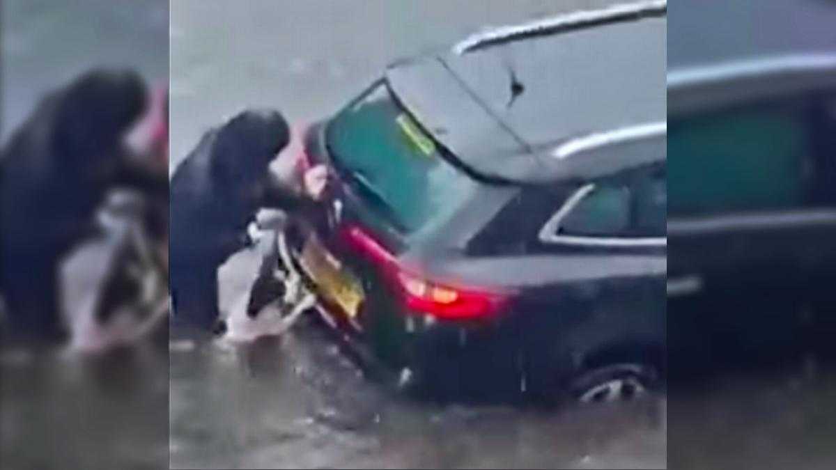 Смелая собака помогла хозяйке вытолкать машину из воды: видео