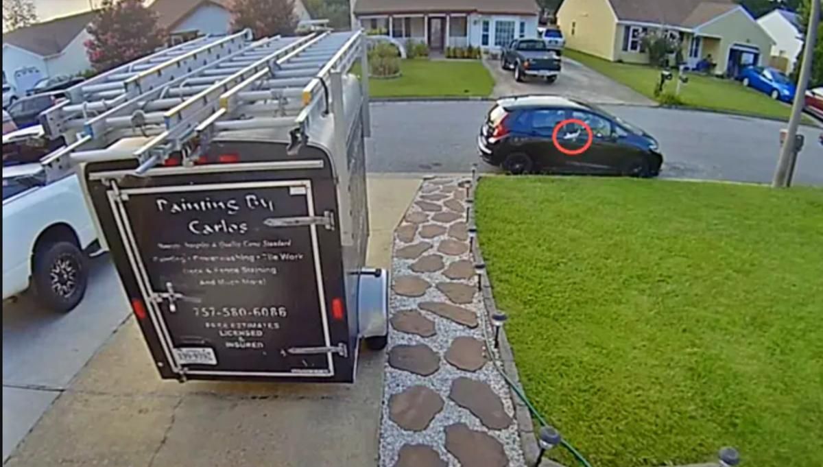 Риба впала з неба Риба впала з неба