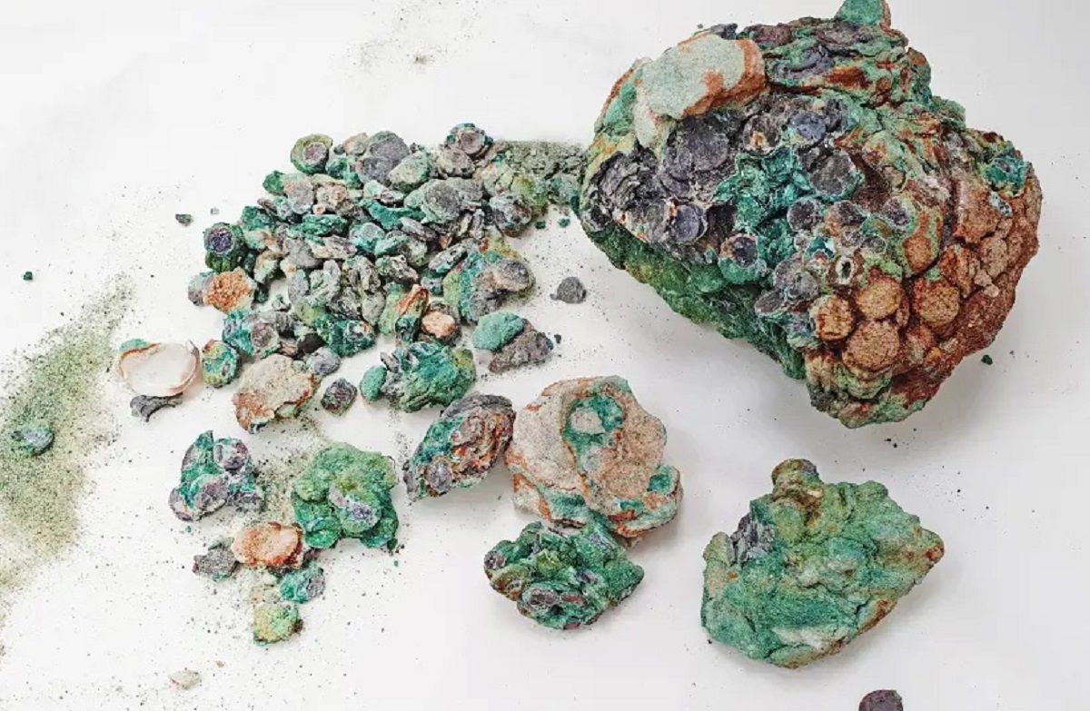 На израильском пляже нашли древние монеты: им более 1700 лет На израильском пляже нашли древние монеты: им более 1700 лет