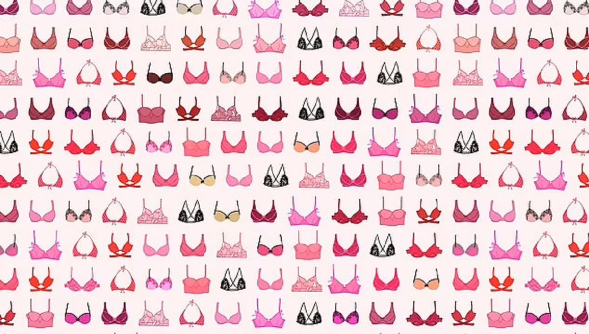 Головоломка недели: заметите ли вы трусики, спрятанные среди бюстгальтеров Головоломка недели: заметите ли вы трусики, спрятанные среди бюстгальтеров