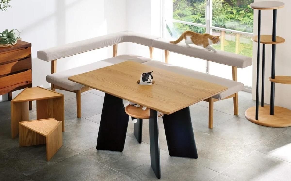 Щоб обідати разом з улюбленцем: в Японії розробили стіл з отвором для кота Щоб обідати разом з улюбленцем: в Японії розробили стіл з отвором для кота