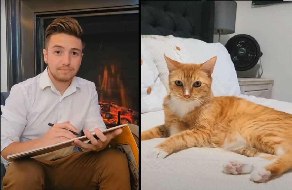 Актер и его кот воссоздали известную сцену из "Титаника" и стали звездами сети: забавное видео