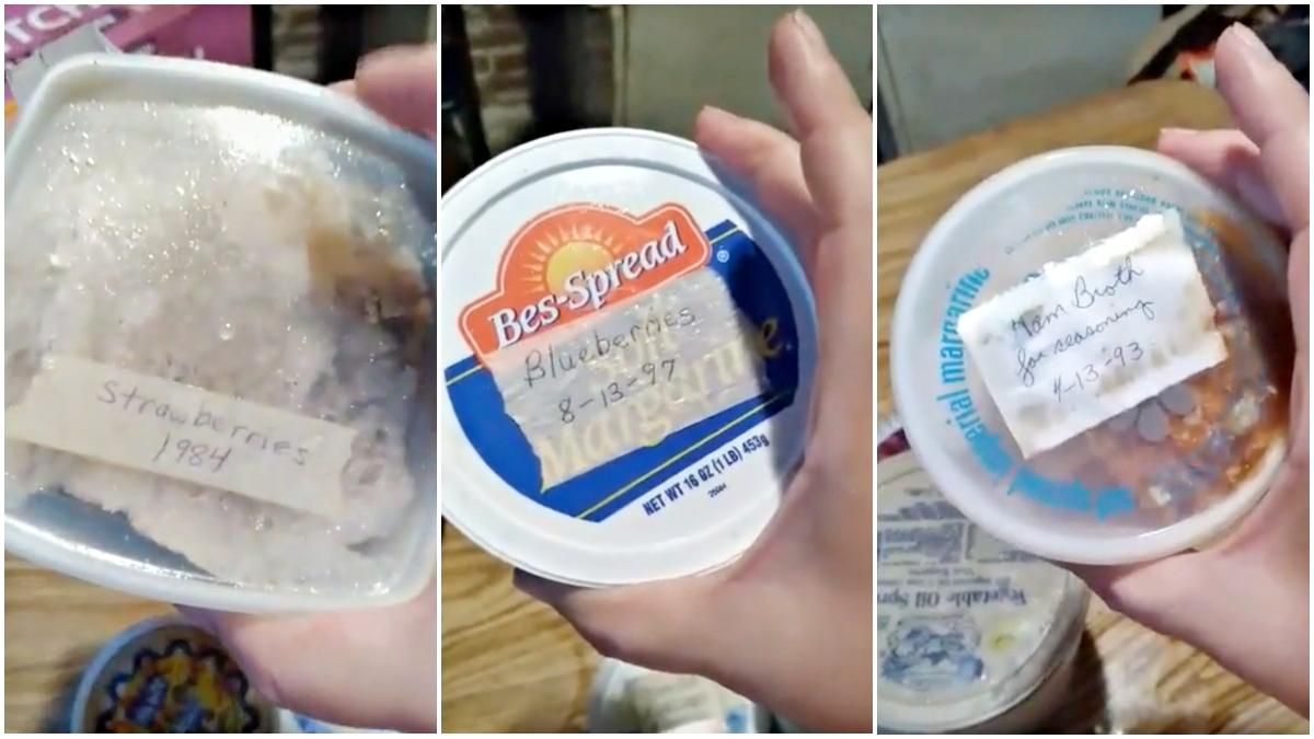 Девушка нашла в бабушкиной морозилке продукты почти 50-летней давности: что с ними произошло - Развлечения