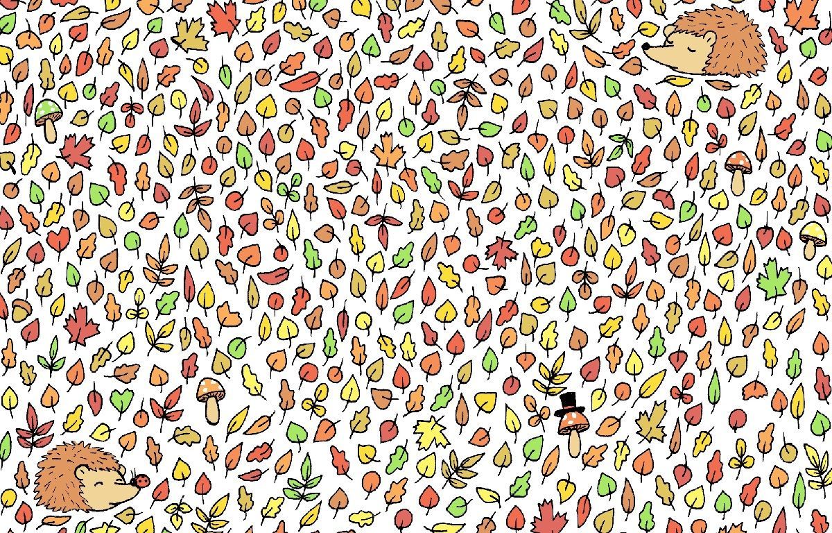 Головоломка тижня: осіння загадка для любителів збирати жолуді Головоломка тижня: осіння загадка для любителів збирати жолуді